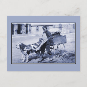 Vintager Gemüsehändler und Hundekarren Postkarte