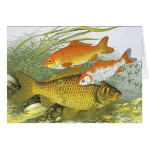 Vintager Goldfish Koi Fisch, Meeresaquatische See 