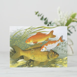 Vintager Goldfish Koi Fisch, Meeresaquatische See  Einladung