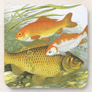 Vintager Goldfish-Koi-Fisch, Meeresleben Untersetzer