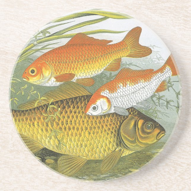 Vintager Goldfish-Koi-Fisch, Meeresleben Untersetzer (Vorne)