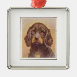 Vintager Gordon Setter Zigarettenkarte Ornament