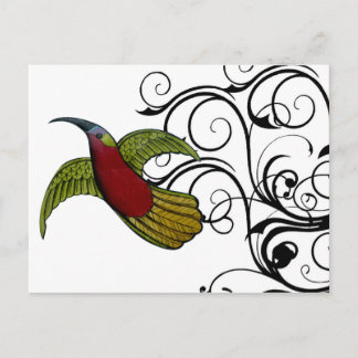 Vintager Grün- und Rothalbvogel Postkarte