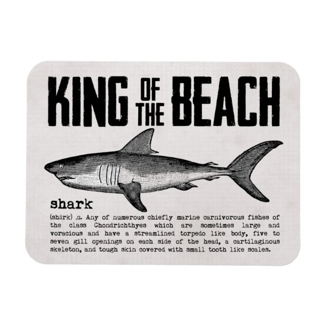 Vintager Hai und Definition Beach King Magnet (Horizontal)