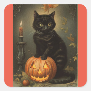 Vintager Halloween-Kittensticker Quadratischer Aufkleber