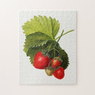 Vintager Haufen Erdbeeren Aquarellmalerei Puzzle