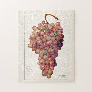 Vintager Haufen roter Trauben Fruchtanstrich Puzzle