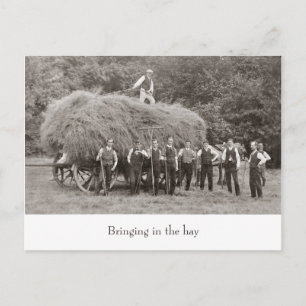 Vintager Heuwagen Postkarte