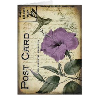 Vintager Hibiskus-Kolibri