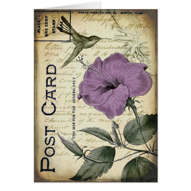 Vintager Hibiskus-Kolibri (Vorne)