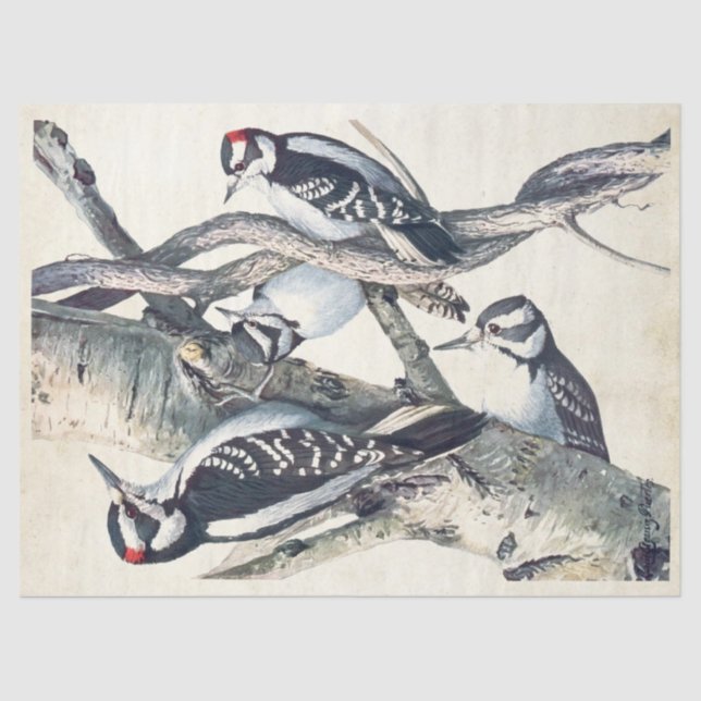 Vintager Holzpfeifer Seidenpapier (Vorderseite)