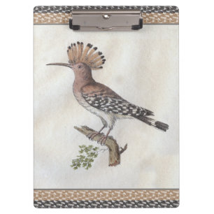Vintager Hoopoe-Stich Klemmbrett