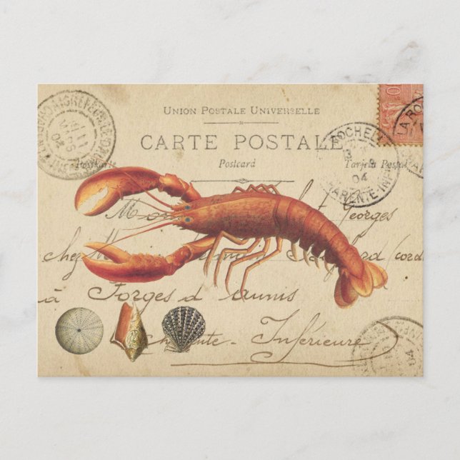 Vintager Hummer und Seashellspostkarte Postkarte (Vorderseite)