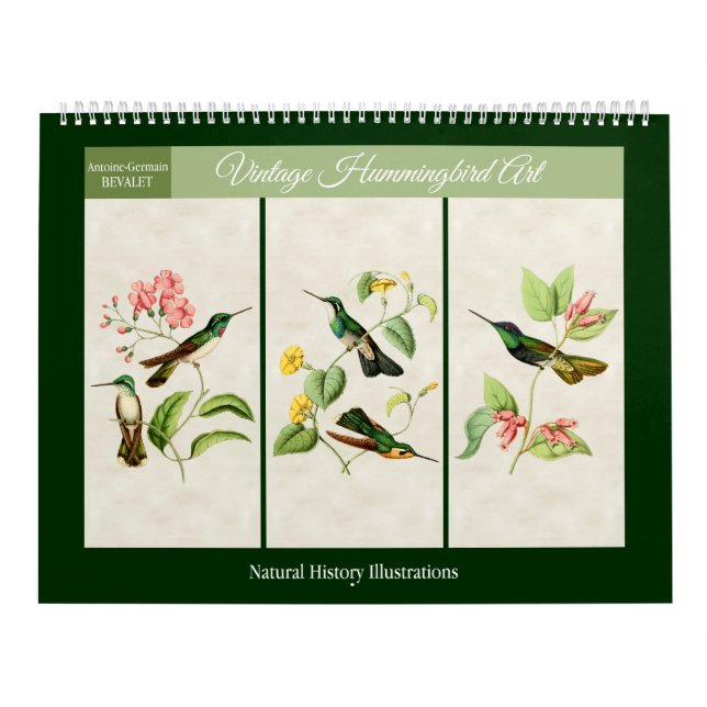 Vintager Hummingbird Art. 2026 Kalender (Titelbild)