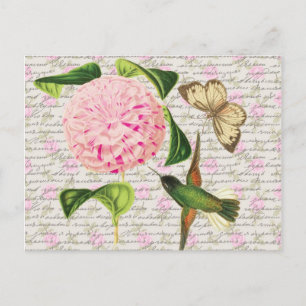 Vintager Hummingbird Butterfly und Caryophyllus Postkarte