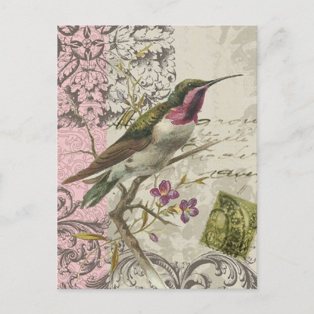 Vintager Hummingbird...Postkarte Postkarte (Vorderseite)