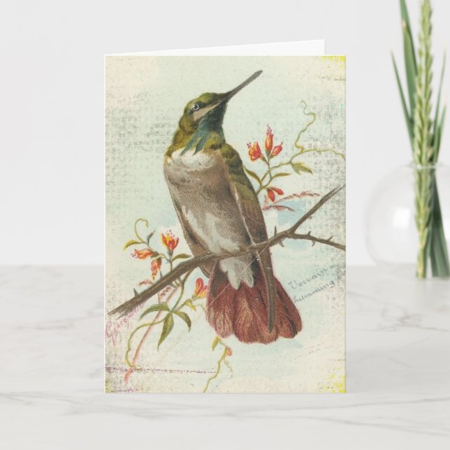 Vintager Hummingvogel, Geburtstag Karte (Vorderseite)
