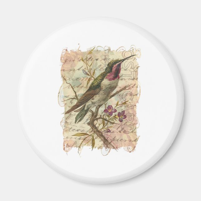 Vintager Hummingvogel Magnet (Vorne)