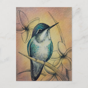 Vintager Hummingvogel Nr. 3 Wasserfarben Kunst Postkarte