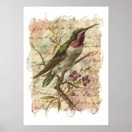 Vintager Hummingvogel Poster