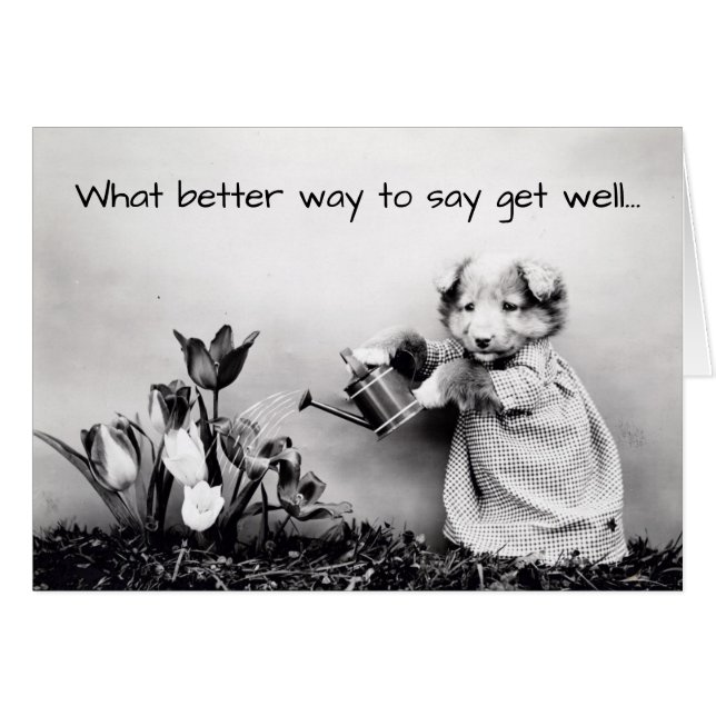 Vintager Hund abgezogen - Gute Karte (Vorderseite (Horizontal))