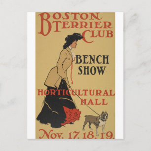 Vintager Hund Boston Terrier Club Postcard Postkarte