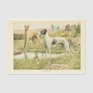 Vintager Hund Ephemera Decoupage Gray Hounds Seidenpapier