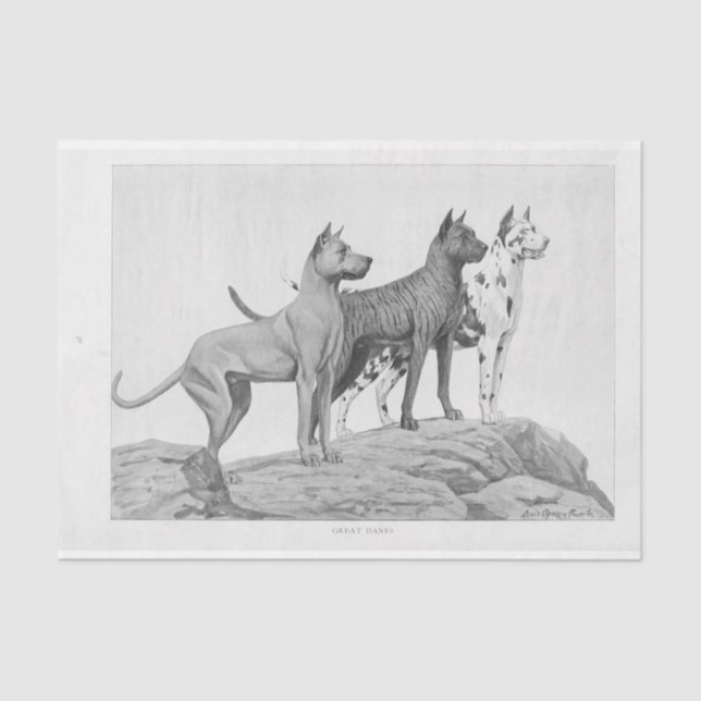 Vintager Hund Ephemera Decoupage Große Dänen Seidenpapier (Vorderseite)