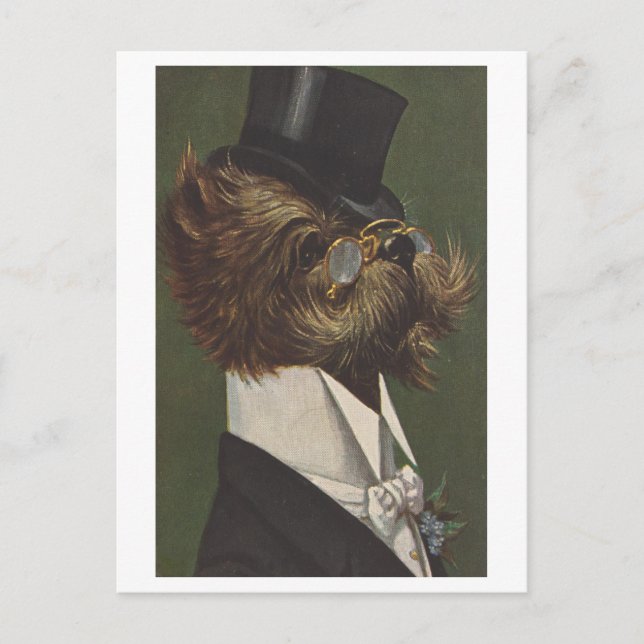 Vintager Hund in Abend Kleidung mit Brille Postkarte (Vorderseite)