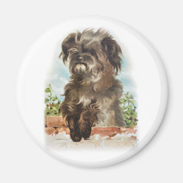 Vintager Hund Magnet (Vorne)
