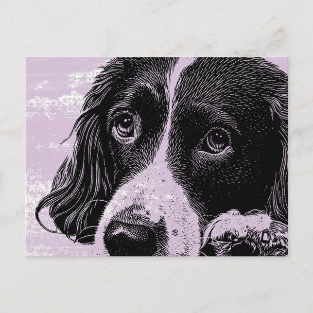 Vintager Hund Postkarte (Vorderseite)