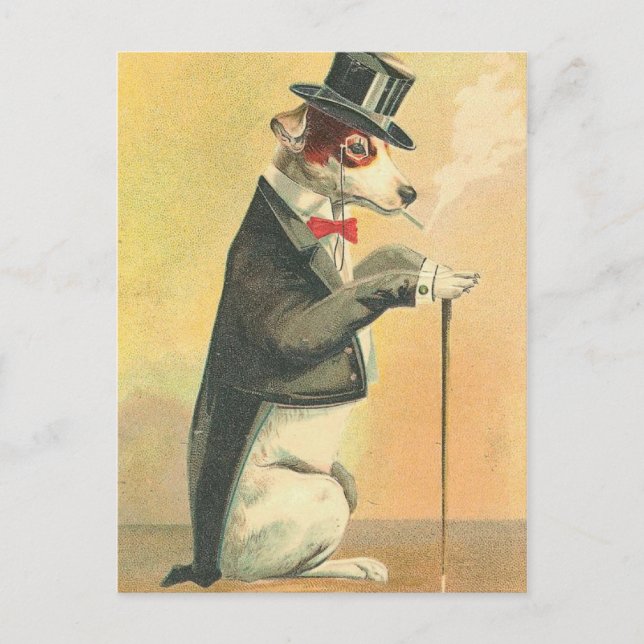 Vintager Hund Postkarte (Vorderseite)