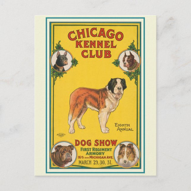 Vintager Hund Show Chicago Kennel Club Poster Postkarte (Vorderseite)