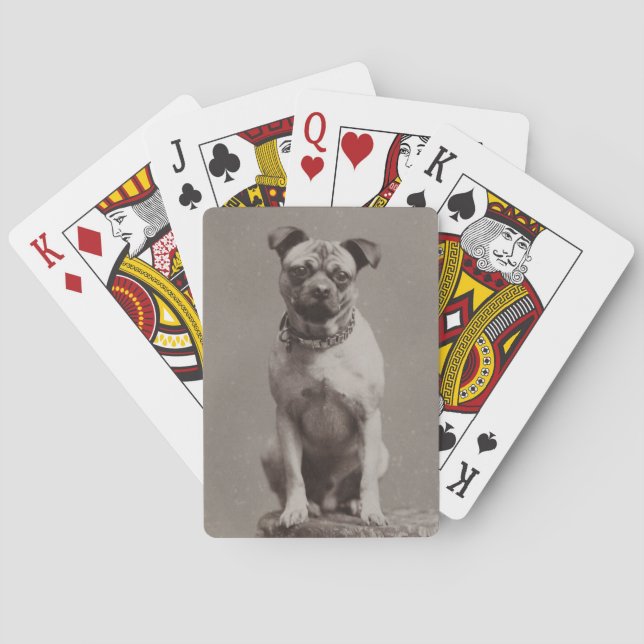 Vintager Hund Spielkarten (Rückseite)
