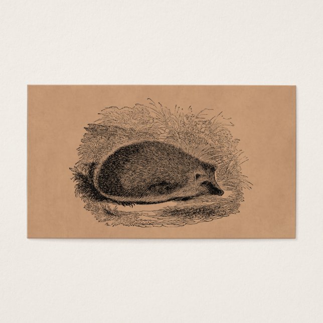 Vintager Igel Igel 1800 (Vorderseite)
