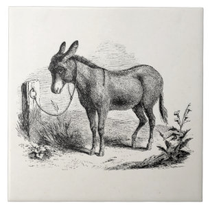 Vintager inländischer Esel-personalisierte Retro Fliese