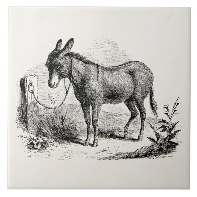 Vintager inländischer Esel-personalisierte Retro Fliese (Vorderseite)