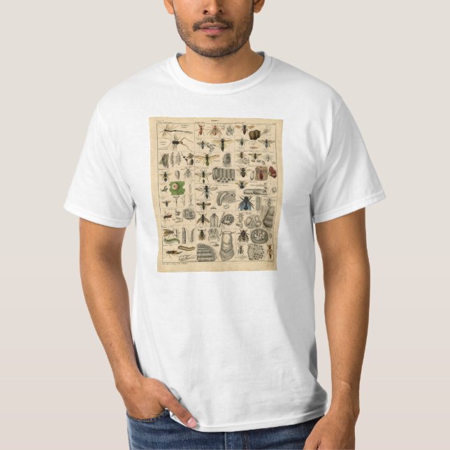 Vintager Insekten-Entomologie-Taxonomie-T - Shirt (Vorderseite)