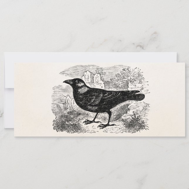 Vintager Jackdaw Crow Bird Personalisierte Vogelkr (Vorderseite)