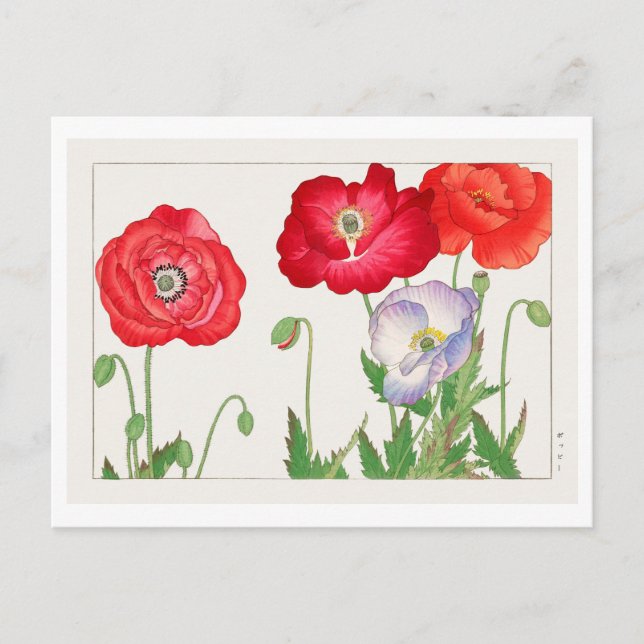 Vintager japanischer Mohnblock-Druck Postkarte (Vorderseite)