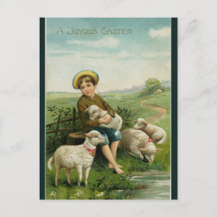 Vintager Junge mit Lämmern Ostern Postkarte