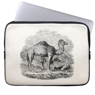 Vintager Kameldromedary-personalisierte Laptopschutzhülle