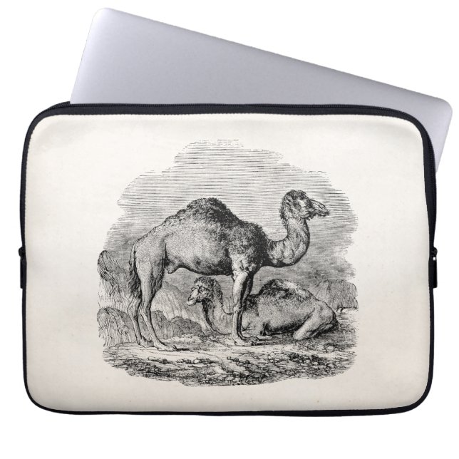 Vintager Kameldromedary-personalisierte Laptopschutzhülle (Vorderseite)