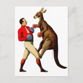 Vintager Kangaroo Boxer Boxer Sport Postkarte