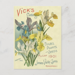 Vintager Katalog 1901 für Vick's Seed & Pflanze Postkarte