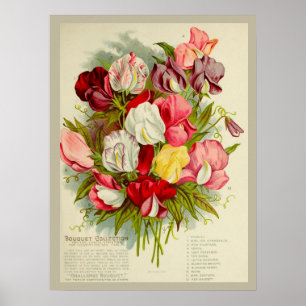 Vintager Katalog mit Süßpferden Blume Bouquet Seed Poster
