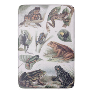 Vintager Katalog von Frogs Science Geek Badematte