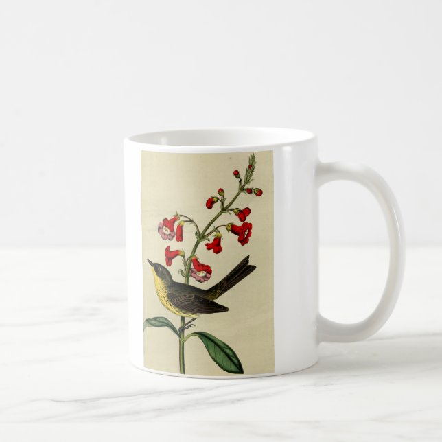 Vintager Kirtlands Trällerer-Vogel Tasse (Rechts)