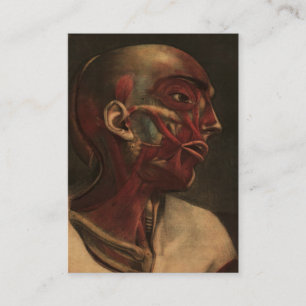 Vintager Kopf, Hals und Schultern der Anatomie- Visitenkarte