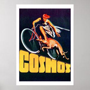 Vintager Kosmos Fahrradposter Poster